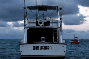 Punta Cana Fishing Charters Sobre Las Olas