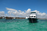 Punta Cana Fishing Charters Divina