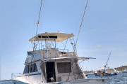 Punta Cana Fishing Charters Mar Quesa