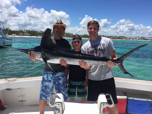 Sailfish jumping out of the water